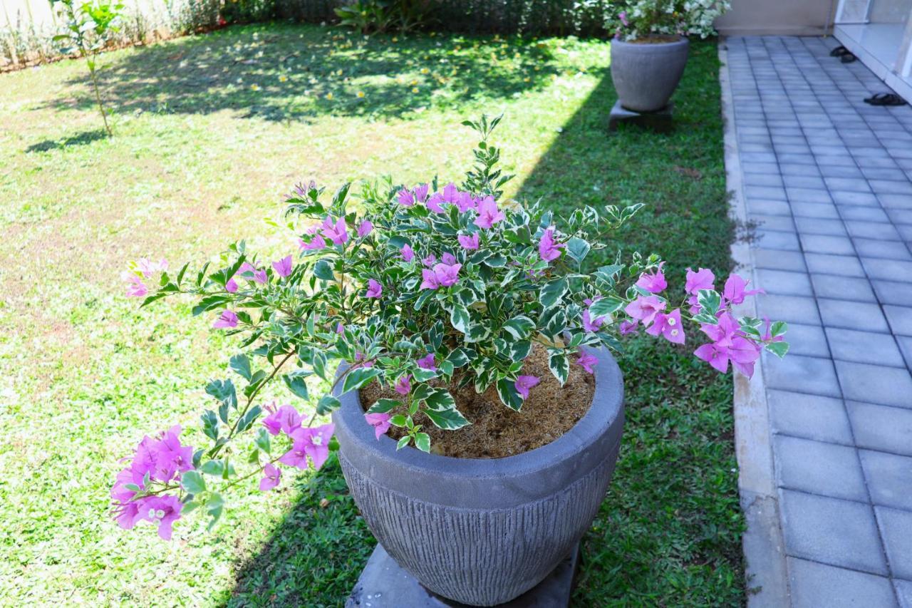 Pondok Dete Guesthouse Sanur  Exterior photo